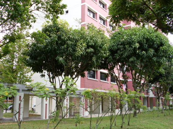 Blk 720 Tampines Starlight (Tampines), HDB 5 Rooms #107182